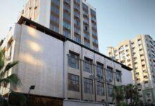 قط ينجح أخيراً في تحقيق حلمه: أن يجوع باحترام