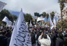 اعتداء جماعي على السقيلبية .. إدارة المنطقة تعلن حل الإشكال والأهالي يعتصمون