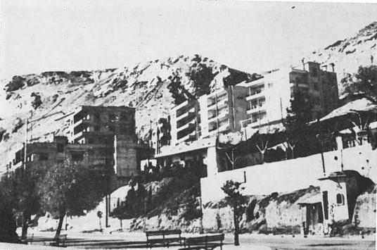 النيربين.. الحديقة التي لم تغب رغم الإغلاق