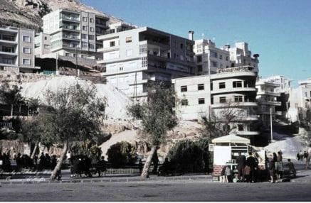 النيربين.. الحديقة التي لم تغب رغم الإغلاق