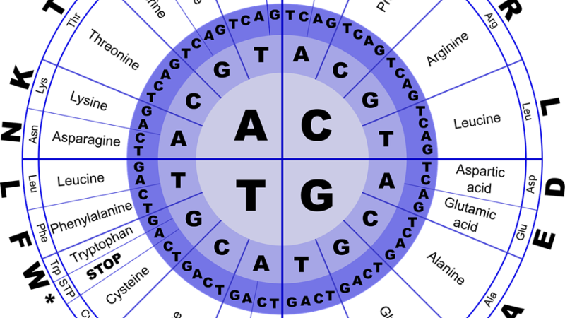 يقرأ_جهاز_تسلسل_الـ_(DNA)_الجزيئات_ويحولها_إلى_حروف_A,_T,_C,_G_تظهر_على_شاشة_الكمبيوتر_(بيكسباي).png