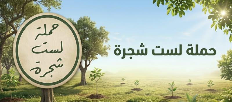 لست شجرة
