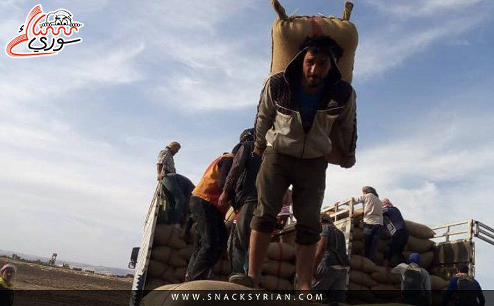 السورية ميرغان حجي بطلة للعالم بثلاث ذهبيات وفضية