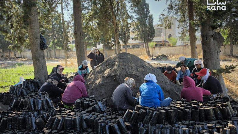 9 8 1 خطة لإنتاج 100 ألف غرسة حراجية بالغاب في حماة للموسم الزراعي ‏المقبل