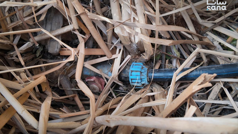 IMG 20261022 170348 162 جولات ميدانية لإزالة التعديات على شبكات المياه في ريف القنيطرة الجنوبي