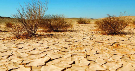 شمرا أخبار أكساد برنامج ومشاريع متنوعة لمراقبة التصحر ومكافحته في الوطن العربي