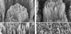 جلّ ثوري يُصلح تلف الأسنان غير القابل للعلاج