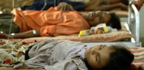 أخطر الكائنات الحية في العالم طولها سنتيمتر واحد