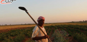 من الجفاف إلى الفيضانات: سوريا تدفع ثمن طقس متطرف وبنية تحتية متهالكة