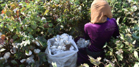 ماذا تعرفون عن الرقة؟.. المحافظة المثقلة بالحرب والموارد والانقسام