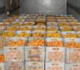 السورية للتجارة تستجر 65 طن حمضيات من طرطوس