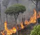تحذير من ارتفاع مؤشرات خطورة الحريق في بعض مواقع الغابات