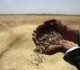 بتوجهات الرئيس السوري.. إجراءات جديدة بشأن القمح