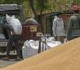 بعد قرار حظر التصدير.. توقف شحنات بمئات آلاف الأطنان من القمح في أحد موانئ الهند