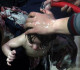 تحقيق دولي يحمل دمشق مسؤولية الهجوم الكيميائي على دوما
27.01.2023