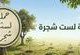 لست شجرة .. حملة طائفية تتوّج مسار غياب محاسبة المحرّضين