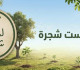لست شجرة .. حملة طائفية تتوّج مسار غياب محاسبة المحرّضين