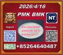 Prompt delivery CAS 28578-16-7 PM.K and CAS5449-12-7BM.K/49851-31-2