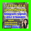 Cas 119276-01-6 Protonitazene (Hydrochloride) Seller China