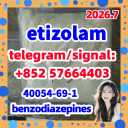 40054-69-1 etizolam