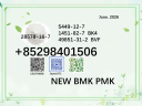 CAS 5449-12-7 BMK powder glycidic acid sodium salt PMK 28578-16-7