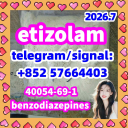 etizolam 40054-69-1