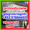High quality CAS:119276-01-6 Protonitazene opioid analgesia and sedative