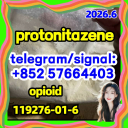 Protonitazene (hydrochloride) CAS：119276-01-6