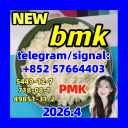 5449-12-7 BMK Glycidic (sodium salt) 5449-12-7