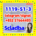 5cladba 1119-51-3 Raw Materials precursor 5fadb adbb