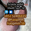 free sample Product5cl-adb Powder 5cl Adb 5cl 5cladba 5cl Raw Materials cas 137350-66-4