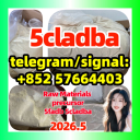 Buy 5CL-ADB-A Online | Lab Tested 99% Pure Research Chemical Powder (10g+)现货