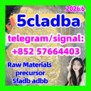 Strongest 5cladba raw material 5CL ADB A precursor powder and liquid dmf