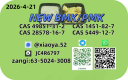 NEW BMK/PMK CAS 49851-31-2 CAS 28578-16-7In Stock