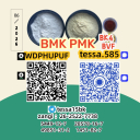 CAS 5449-12-7 Glycidic Acid sodium salt BMK Powder 28578-16-7 PMK  Analytical Reagents Supplier