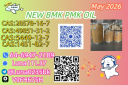 Ethyl Glycidate 28578-16-7 New PMK Power Trier