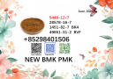 Best price CAS 28578-16-7 BMK CAS 5449-12-7 factory supply 49851-31-2 /1451-82-7