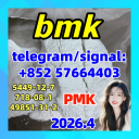 BMK Powder GLYCIDIC ACID (SODIUM SALT) CAS 5449-12-7