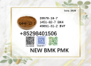 BMK 5449-12-7 glycidic acid 28578-16-7 PMK home delivery support