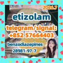 etizolam 40054-69-1
