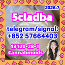 Cannabinoid 5cladba precursor