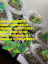 Email::(adhdmeds75@gmail.com) Buy psilocybin mushrooms Online, BUY MAGIC MUSHROOMS ONLINE, Buy Psychedelic Mushrooms Online
