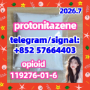 CAS: 119276-01-6 Protonitazene (hydrochloride)