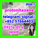 CAS 119276-01-6 Protonitazene |