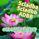 ADBB, 5cl, 5cladb, 5cladba, 5cladbb Chart by 5CLADB 5cl-adb-a 5cl adb raw