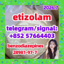 etizolam 40054-69-1