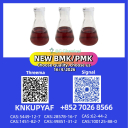Both PMK 28578-16-7 and BMK 5449-12-7 not restricted