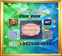 Good service cas 28578-16-7 PM.K and cas 5449-12-7 BM-K Best price
