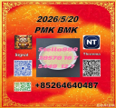 Supply from Stock Cas 28578-16 -7 P.M.K and 5449-12-7 BM.K /49851-31-2