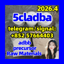 5cladba raw material 5CL-ADB-A precursor raw 5cla